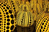 Jāņa Borga mākslas lekcija - Jajoi Kusama